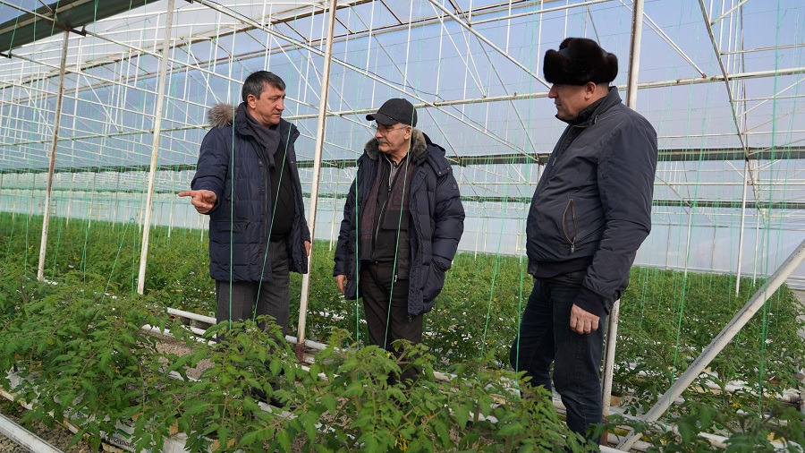 В Дагестане на птицефабрике «Гюней» построили комбикормовой завод с мощностью до 5 тонн в час